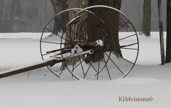 Spring tooth hay rake