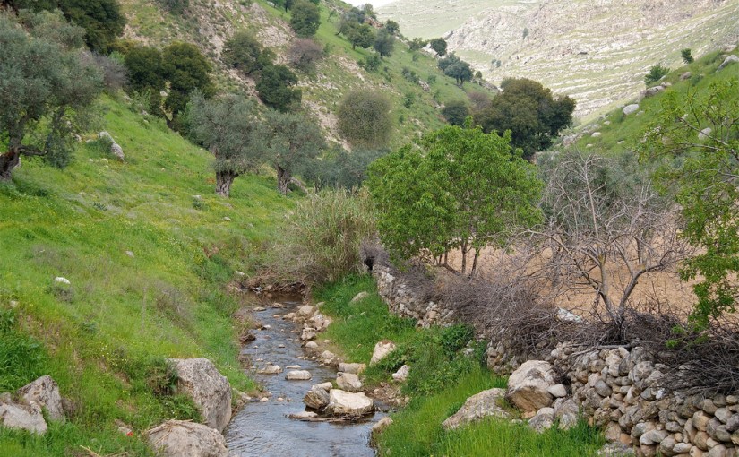 The Place of Separation and&nbsp;Sustainment