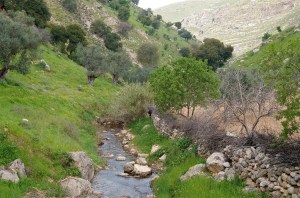 Cherith or Wadi al-Yabis by samdefranc