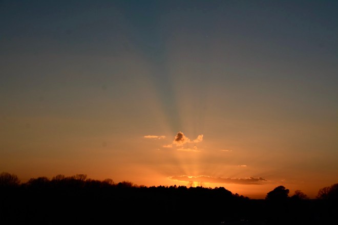 F5F541EA-3DAA-449B-9F20-647799E33CBD